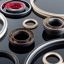 Teflonska brtva od opruge od nehrđajućeg čelika