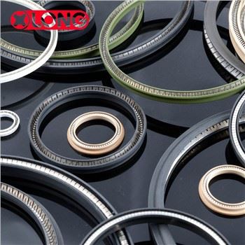 PTFE hidraulična radijalna brtva sa oprugom