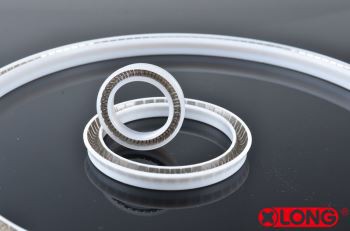PTFE Spring Energized Ventil Seal